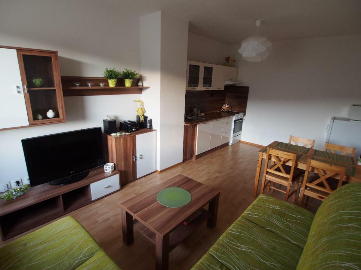 Apartman V Destnem Apartment Destne v Orlickych horach Exterior photo