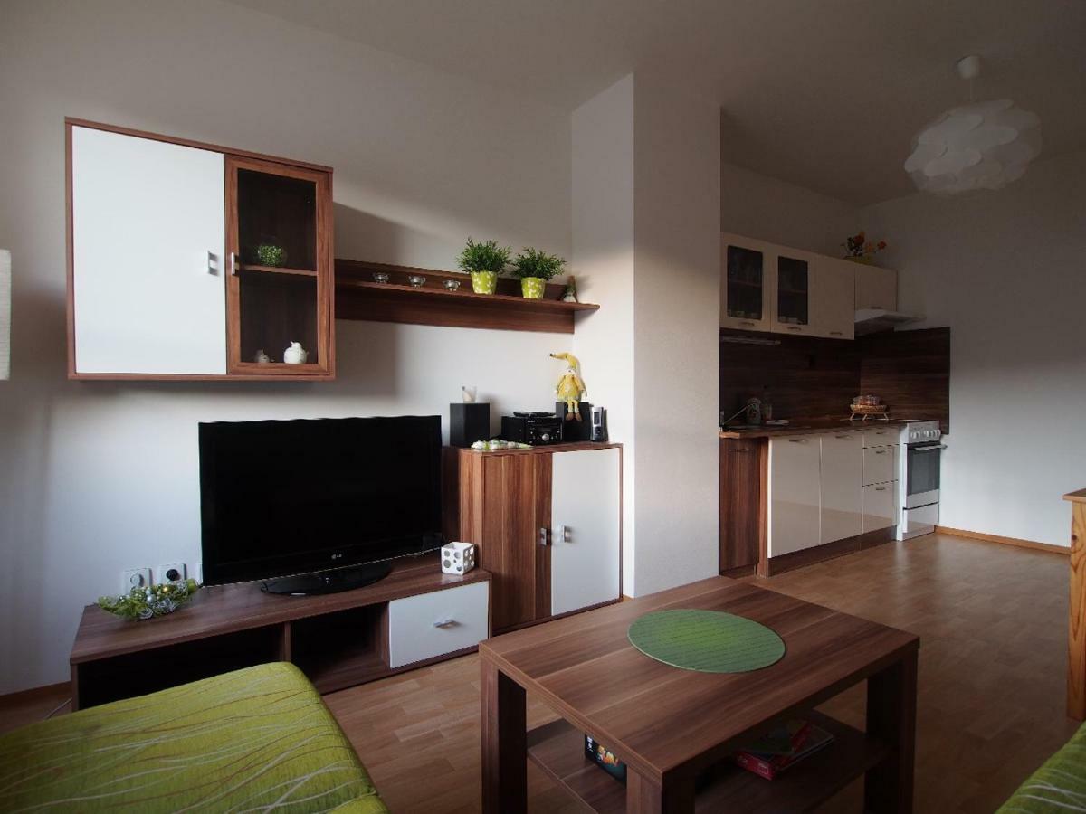 Apartman V Destnem Apartment Destne v Orlickych horach Exterior photo