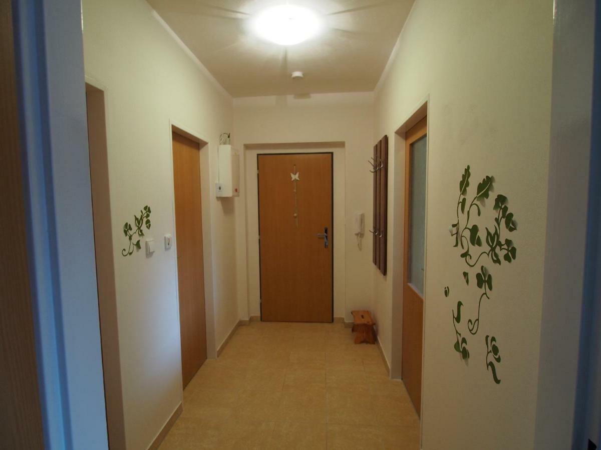 Apartman V Destnem Apartment Destne v Orlickych horach Exterior photo